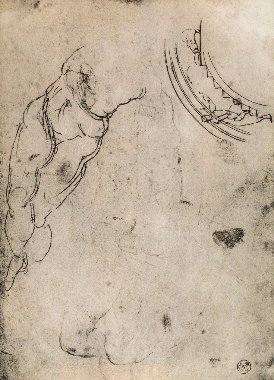 Erkek bacaklar, Michelangelo