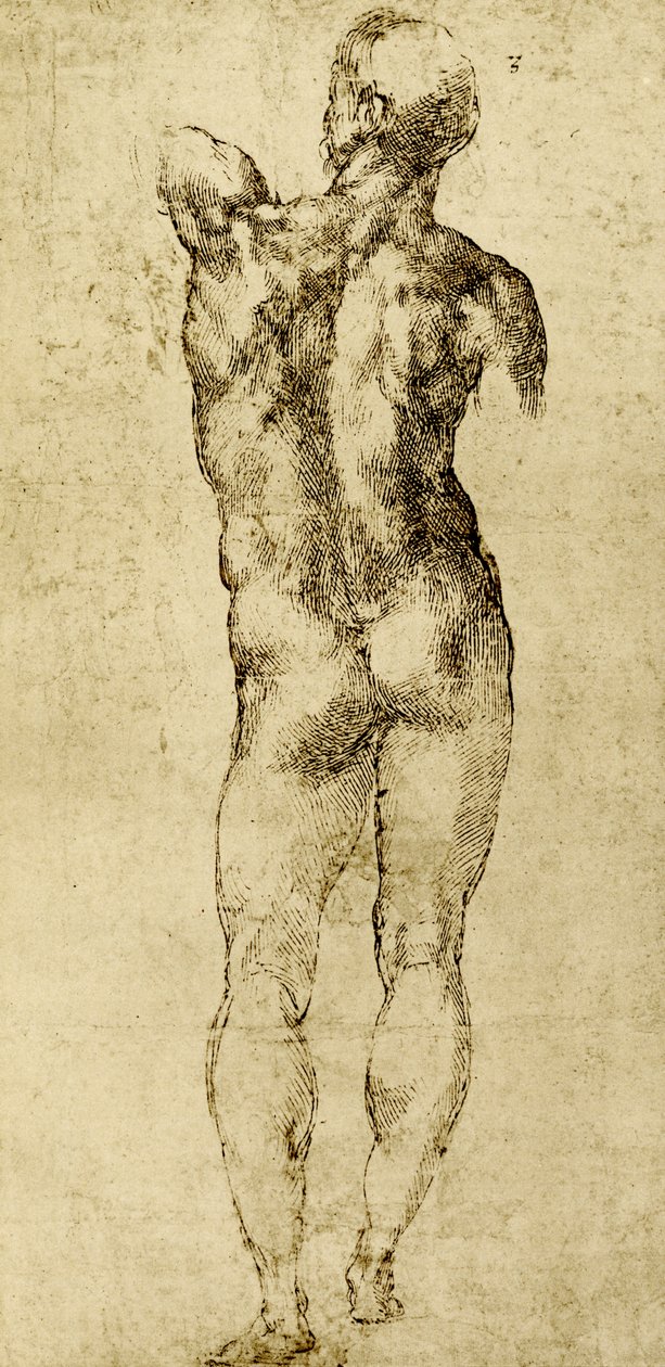 erkek çıplak by Michelangelo Buonarroti
