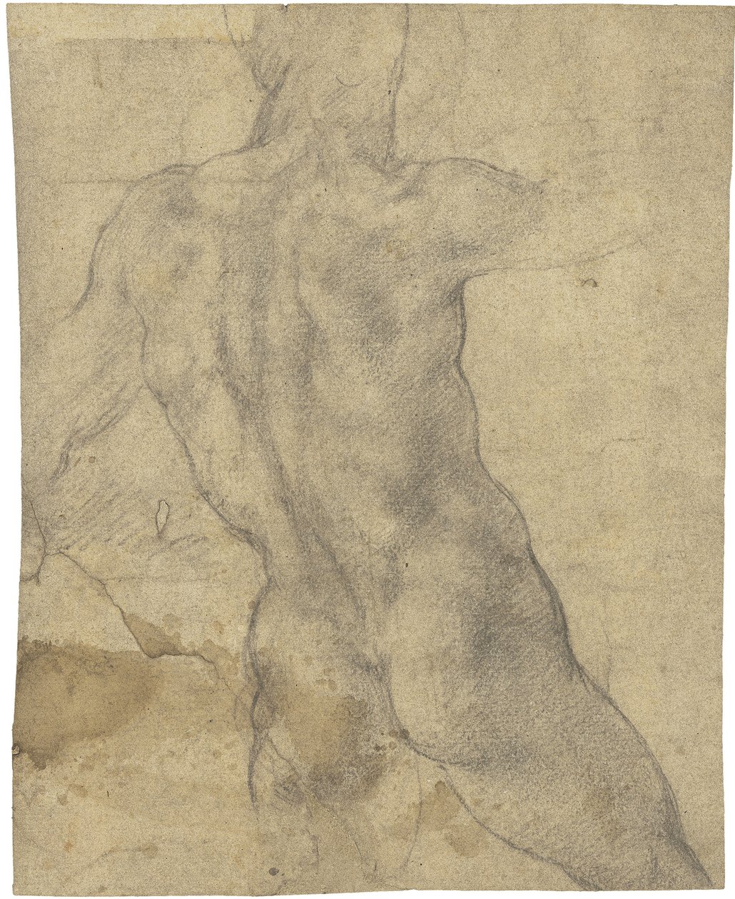 erkek çıplak by Michelangelo Buonarroti