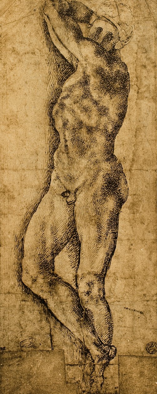 erkek çıplak; Michelangelo