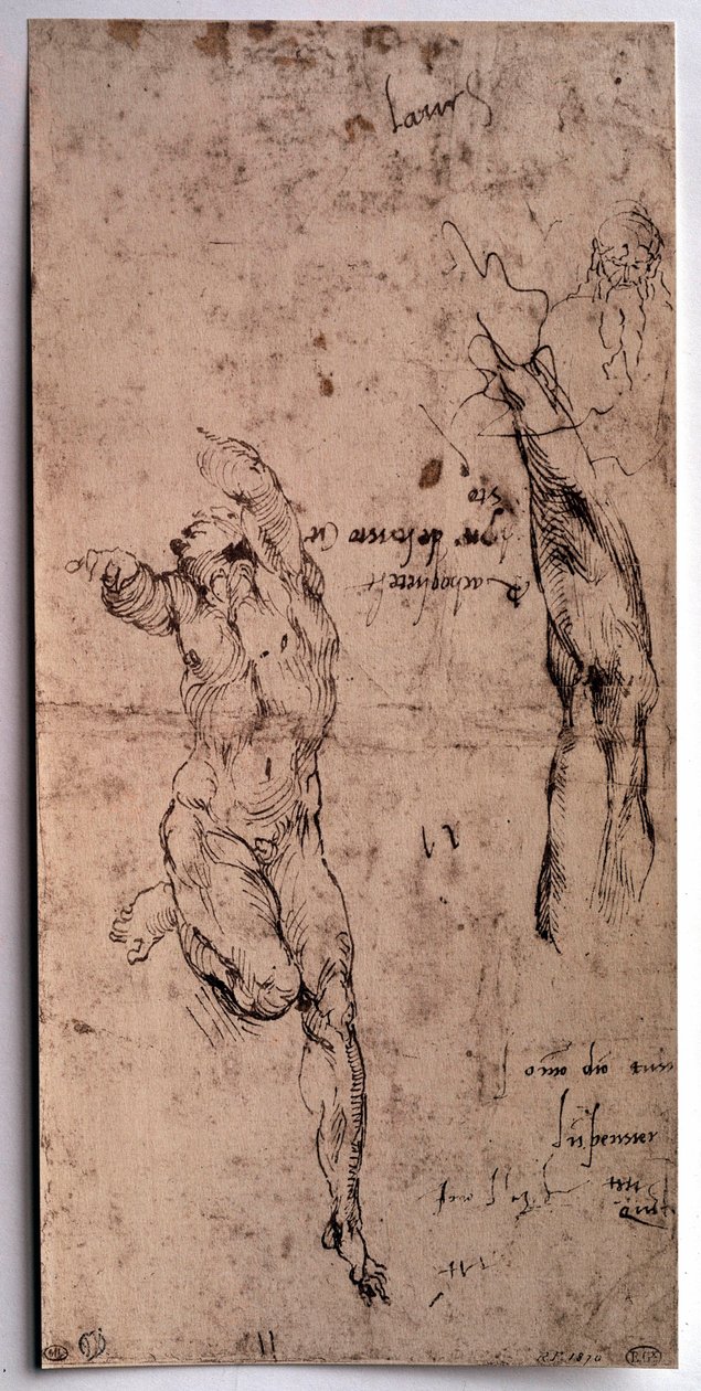 Çıplak adam, kol çalışması Çizim Michelangelo Buonarroti dit Michelangelo (Michelangelo veya Michel Ange) by Michelangelo Buonarroti