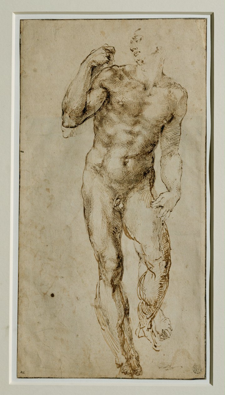  by Michelangelo Buonarroti