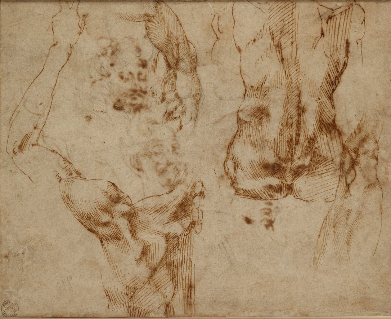 Çıplak Çalışmalar, c1490-1560 by Michelangelo Buonarroti