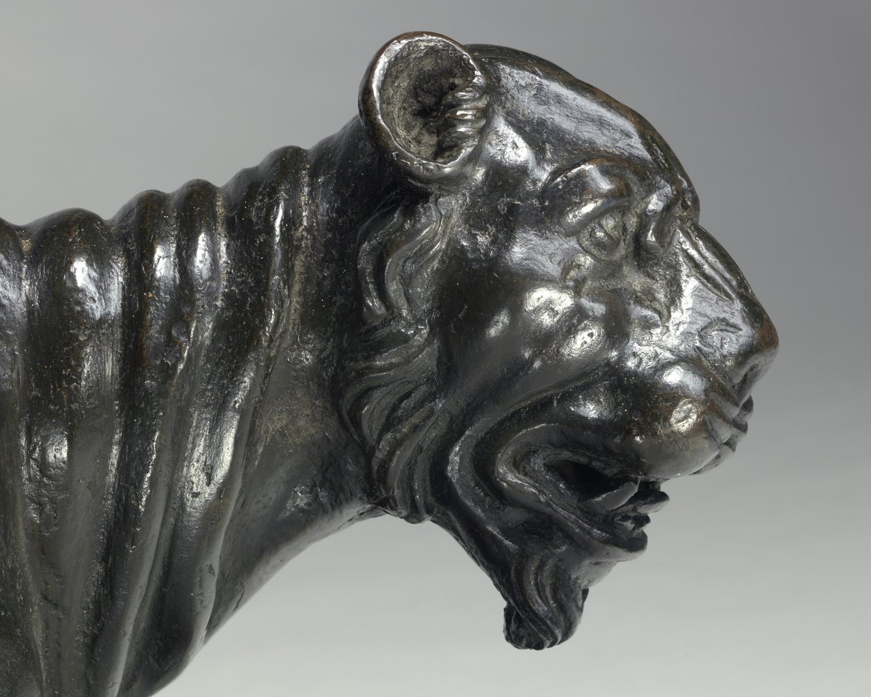 panter sürme çıplak bacchants by Michelangelo Buonarroti