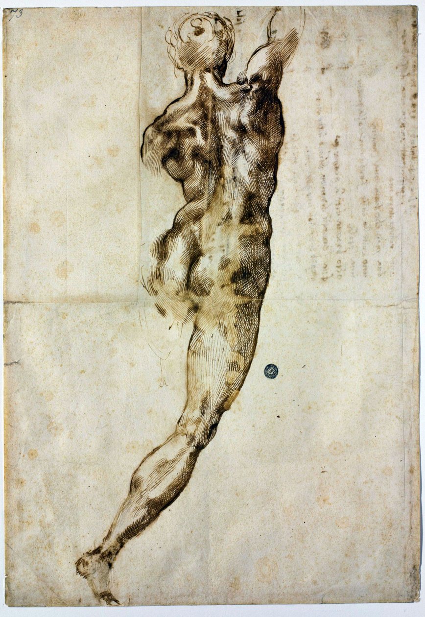 Arkadan çıplak, c. 1504 by Michelangelo Buonarroti