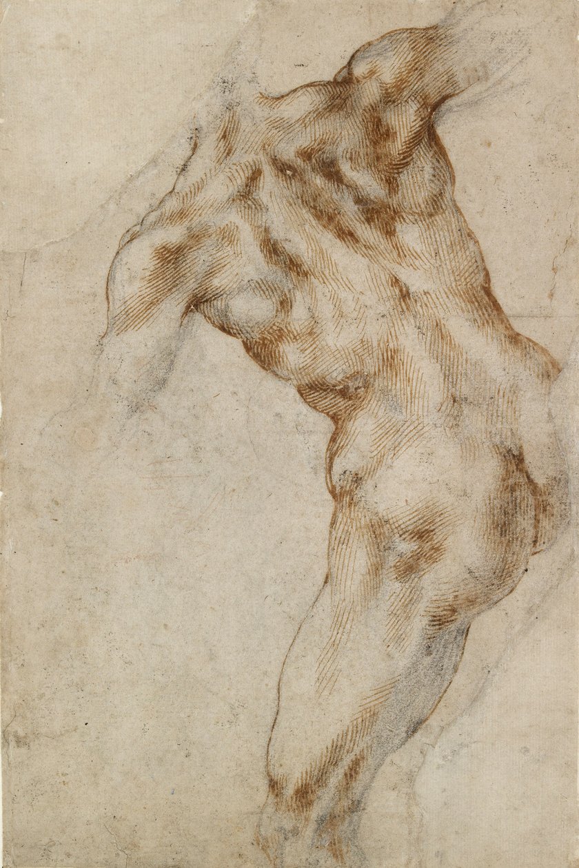 Çıplak erkek Gövde, 16. yüzyılın başlarında by Michelangelo Buonarroti