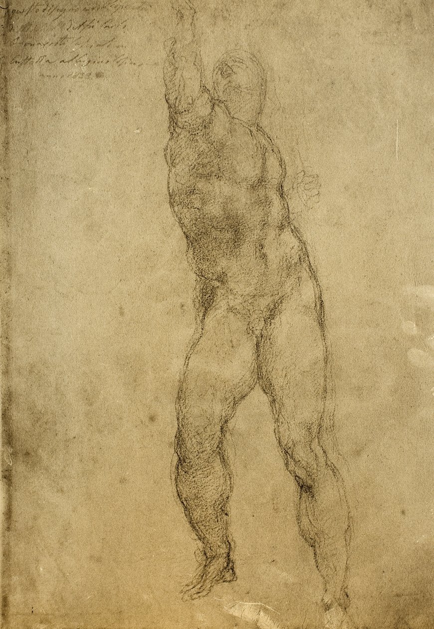 Çıplak çalışma, Michelangelo