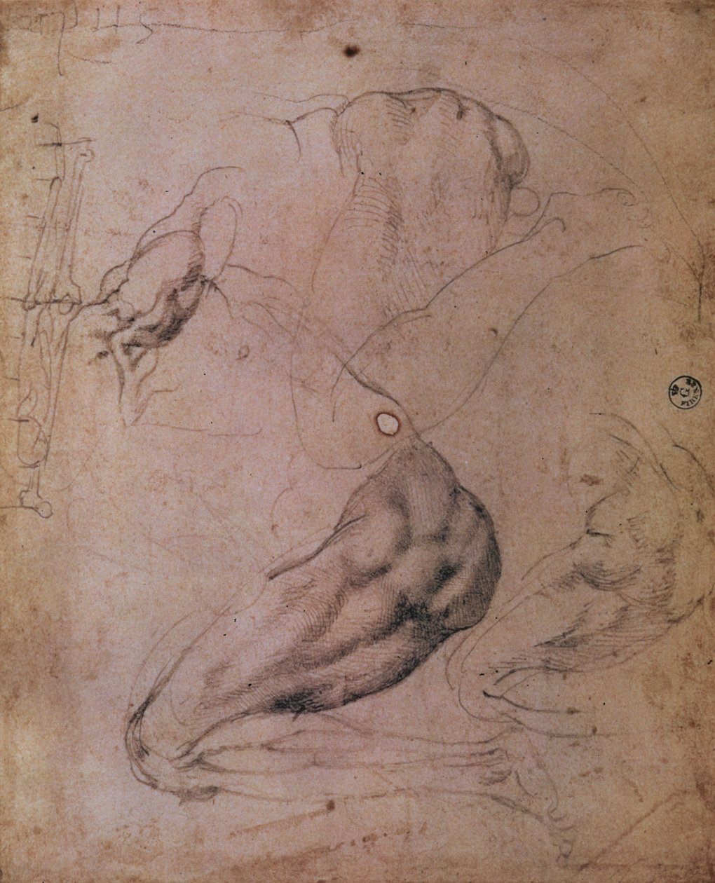 Sistine Şapeli Tavanı (1508-12): The Original Sin sahnesinden Havva figürünün eskizleri (kağıt üzerinde karakalem) by Michelangelo Buonarroti