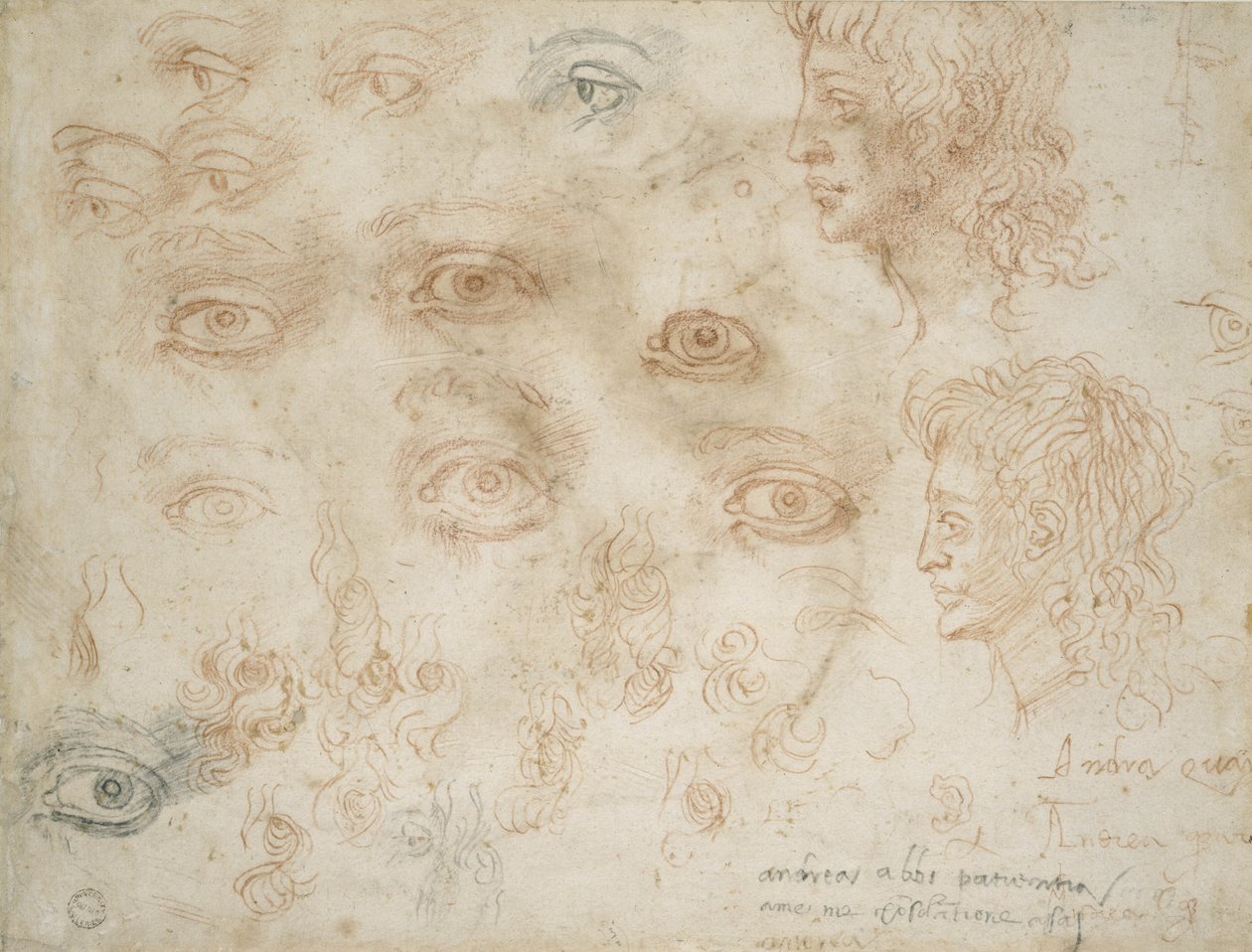 İki Kafa Çalışmaları, c.1525 (kağıt üzerinde tebeşir) by Michelangelo Buonarroti