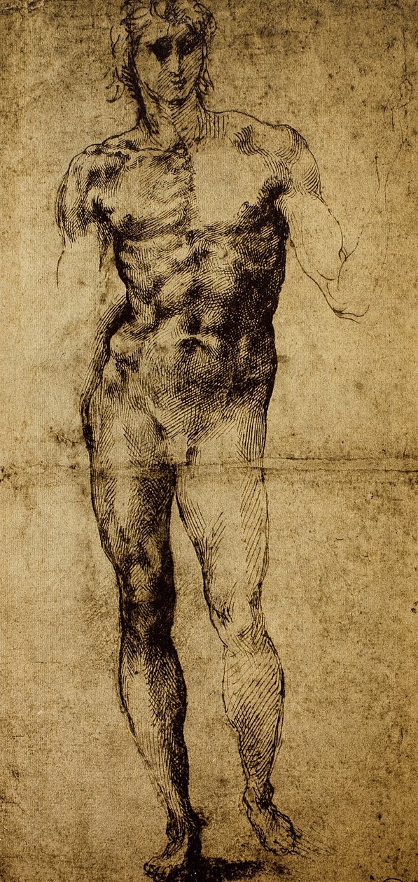 Çıplak bir erkek için çalışma, Michelangelo Buonarroti (1475-1564), çizim, Paris, Louvre Müzesi by Michelangelo Buonarroti