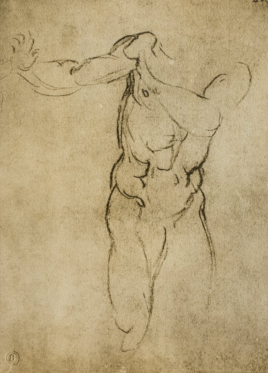 Michelangelo tarafından çizilen erkeksi bir büst için çalışma. Casa Buonarroti, Floransa by Michelangelo Buonarroti