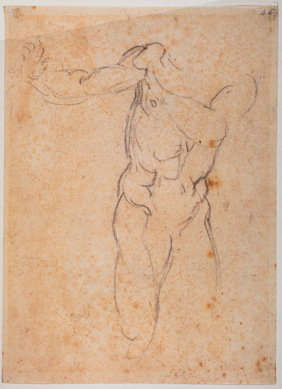  by Michelangelo Buonarroti