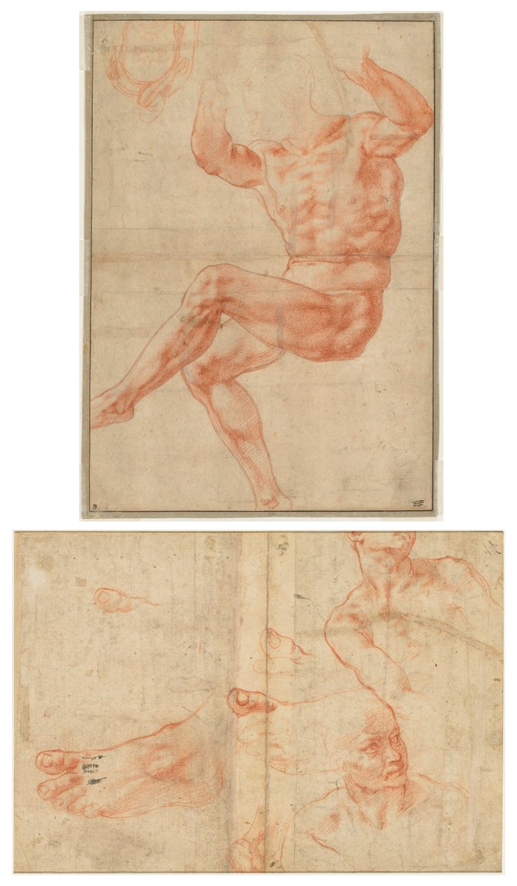 Çıplak Gençler için Danyal Peygamber Üzerine Çalışma (recto); Sistine Tavanı için Figür Çalışmaları (verso) by Michelangelo Buonarroti