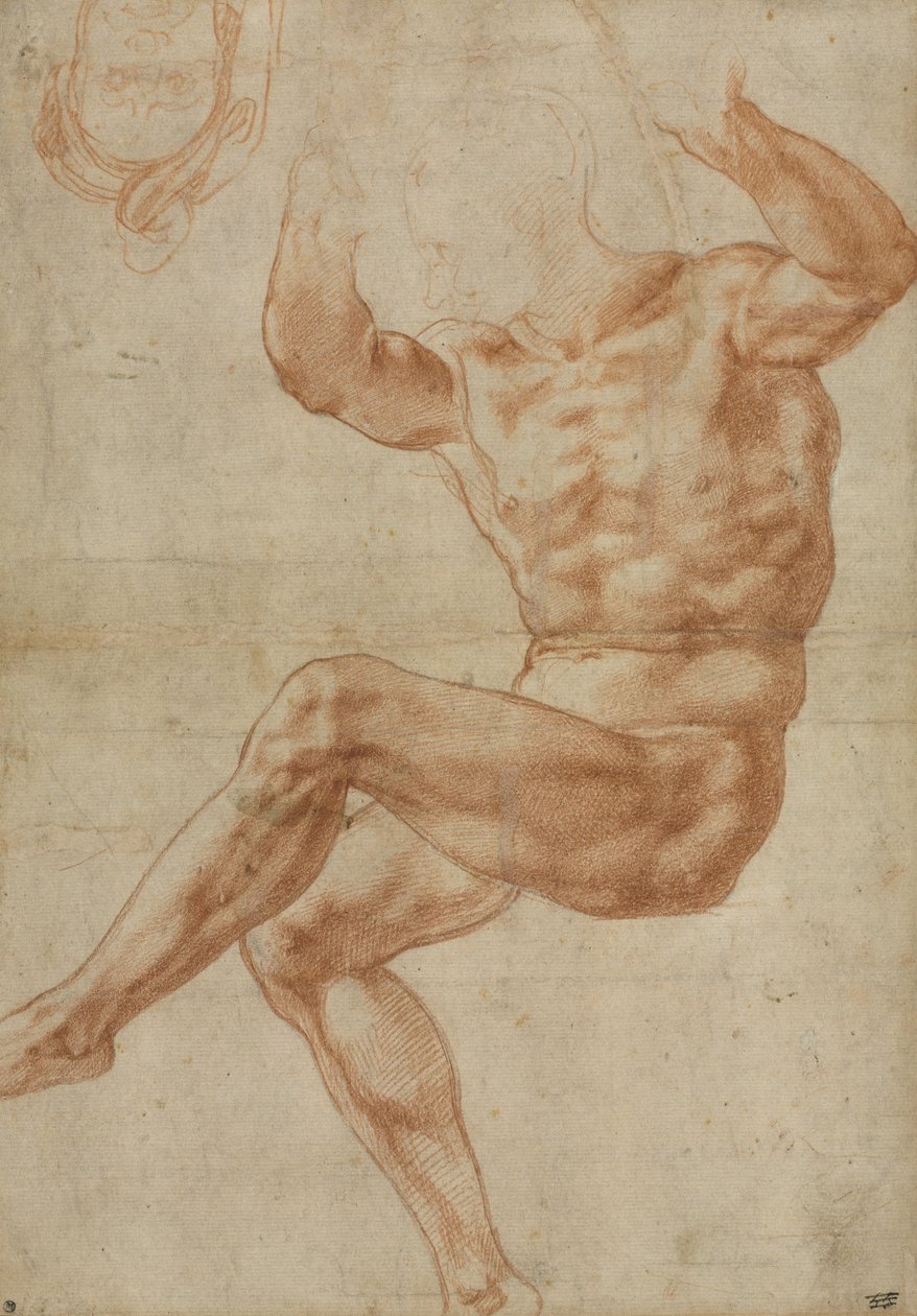 Sistine Tavanı için Danyal Peygamber Üzerinden Çıplak Gençler İçin Çalışma, 1510-11 by Michelangelo Buonarroti