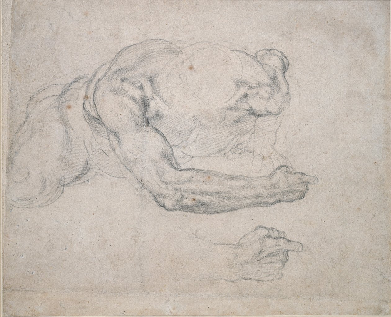 Yerden Yükselen Bir Adamın İncelenmesi, 16. yüzyıl by Michelangelo Buonarroti