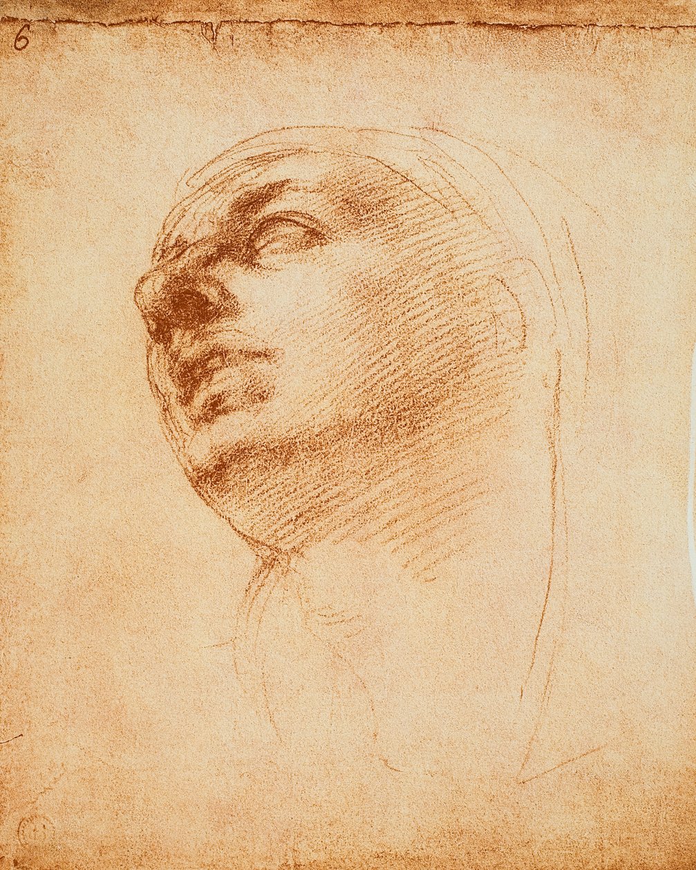 Michelangelo