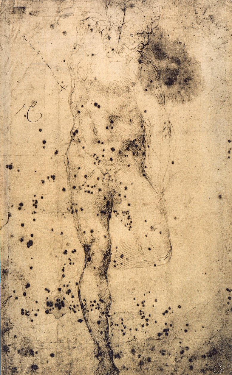 Sol bacağı kaldırılmış çıplak bir erkek üzerinde çalışma; Michelangelo