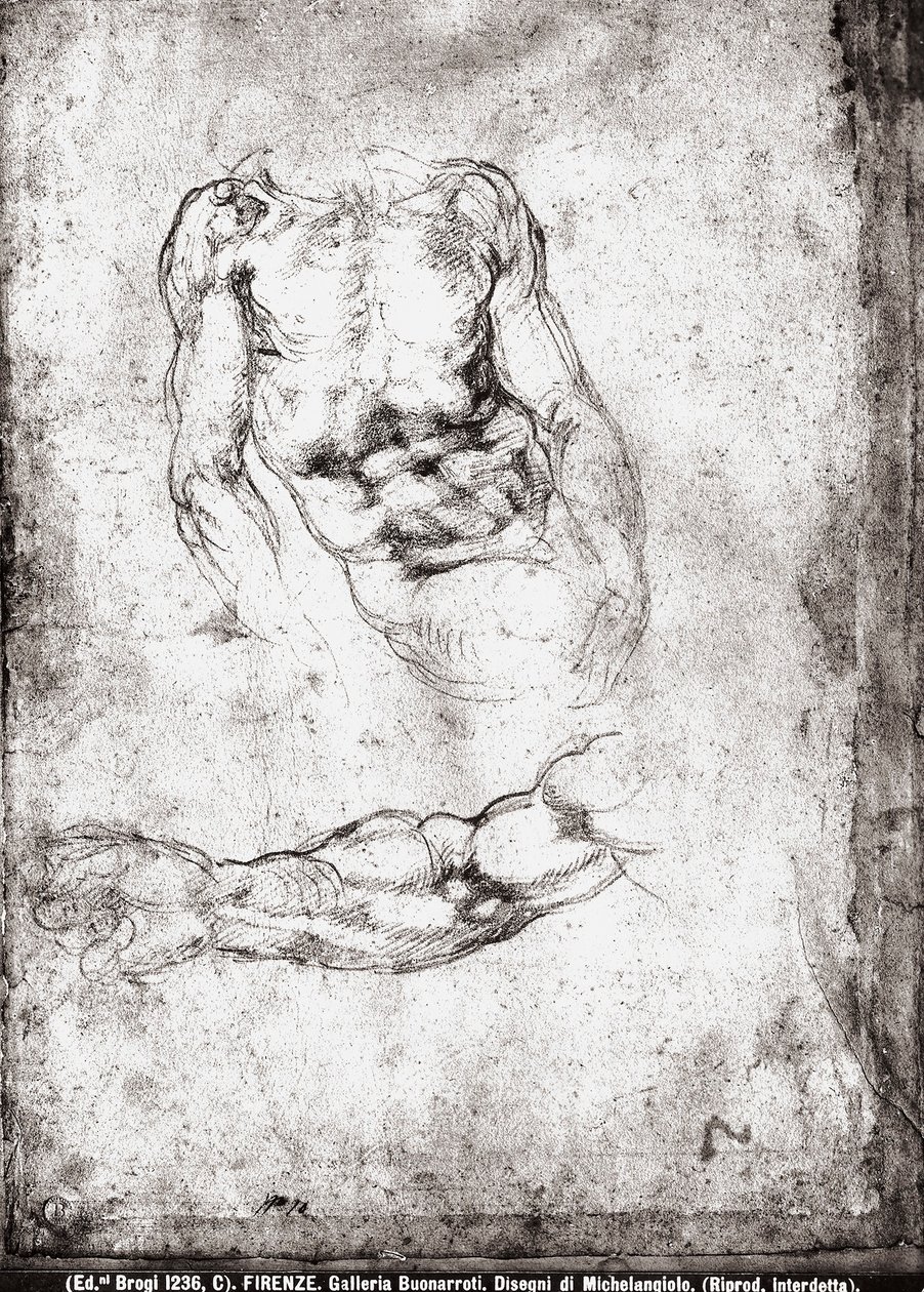 Bir erkek gövde ve kol çalışması by Michelangelo Buonarroti