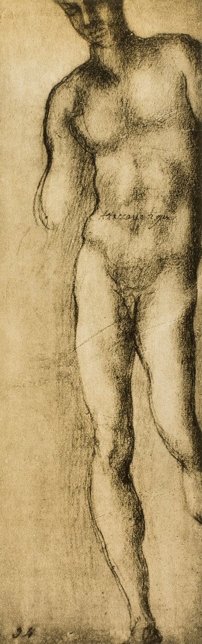 Michelangelo