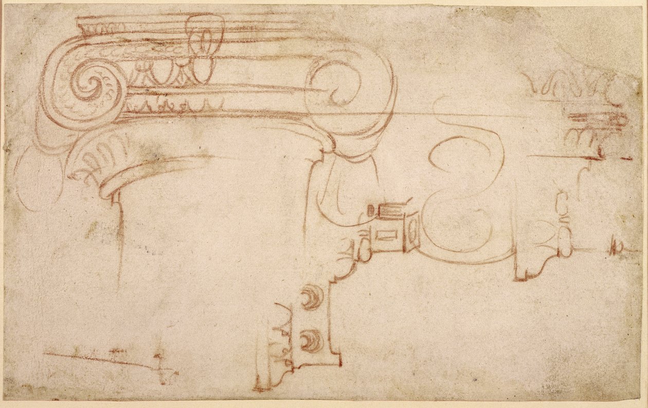 İyonik bir başlığın incelenmesi (kağıt üzerinde kırmızı tebeşir) (rekto) by Michelangelo Buonarroti