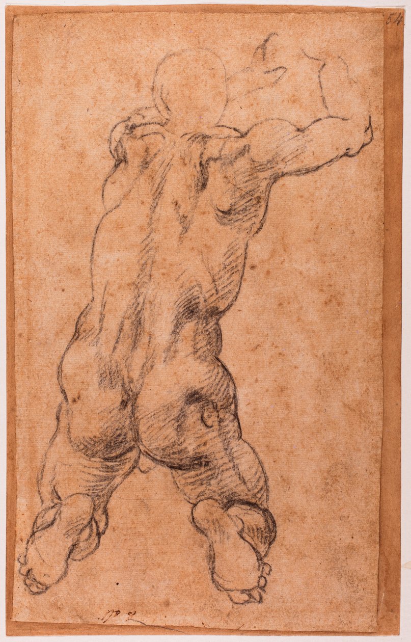  by Michelangelo Buonarroti