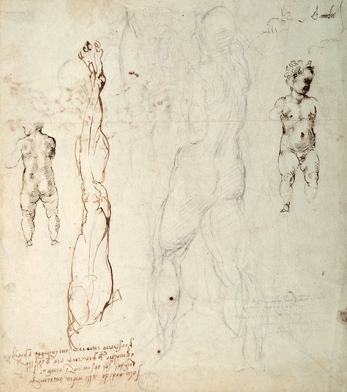 İsa Çocuğunun Çalışması ve Notlarla Bir Anatomik Çizim (kağıt üzerine siyah tebeşir ve kahverengi mürekkep) (ters) by Michelangelo Buonarroti