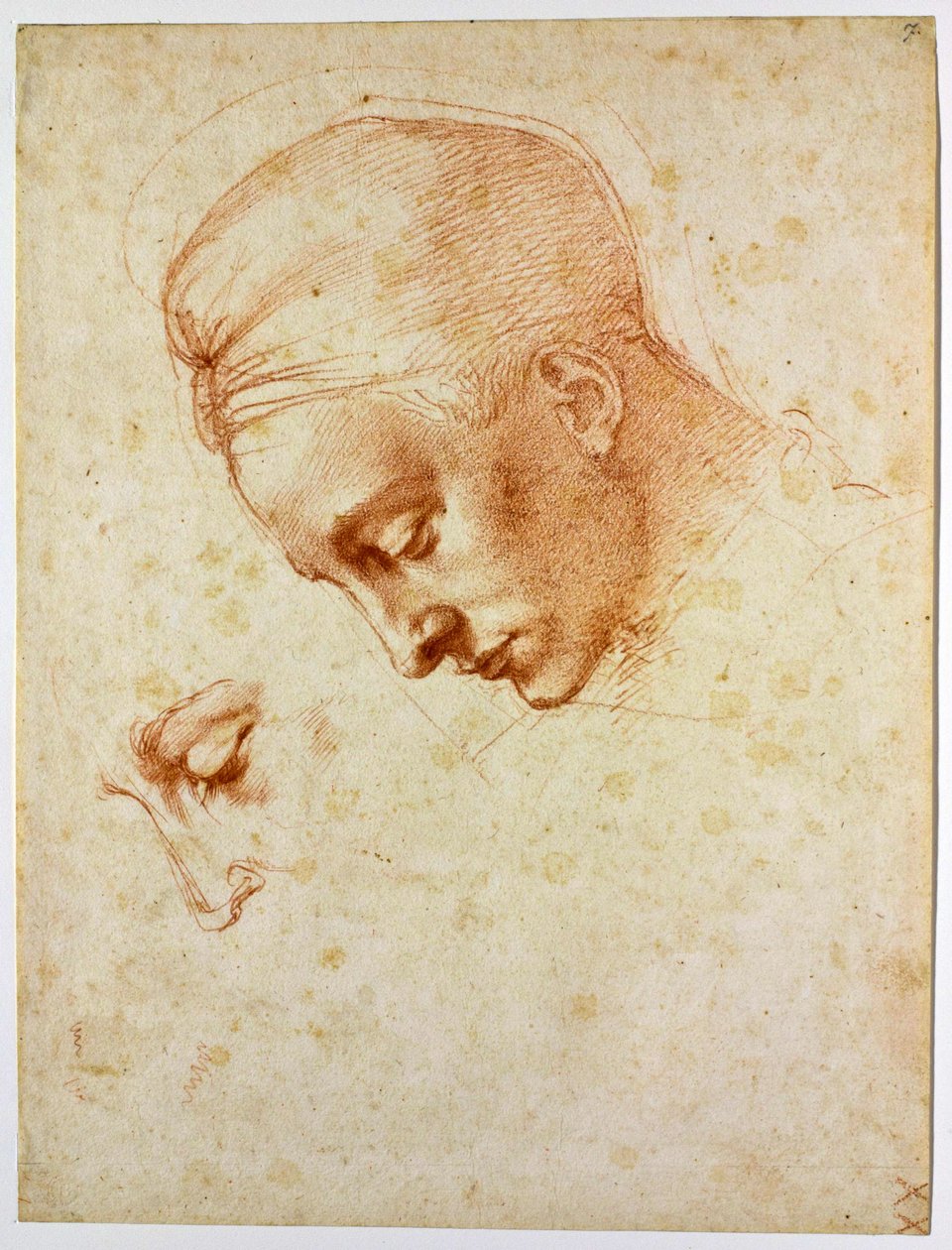 Leda