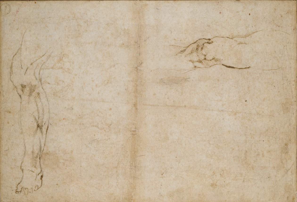 Verso: Bir Adamın Bacağı Çalışmaları, c1490-1560 by Michelangelo Buonarroti