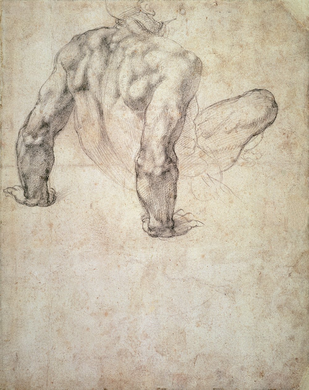 W.63r Ellerine yaslanmış çıplak bir erkek çalışması by Michelangelo Buonarroti