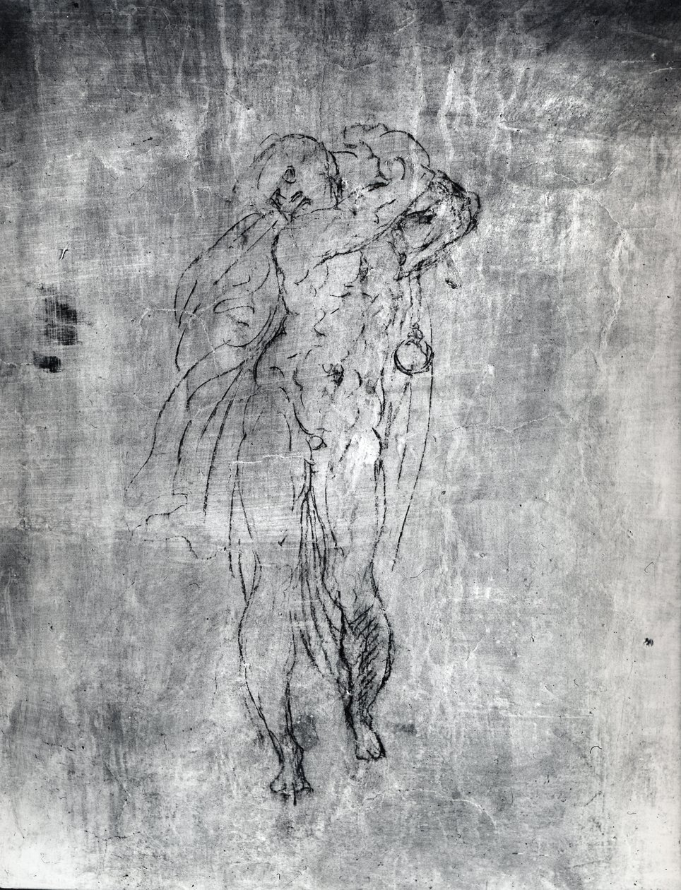 Bir erkek figürünün duvar çizimi, c.1530 (alçı üzerine kömür) by Michelangelo Buonarroti