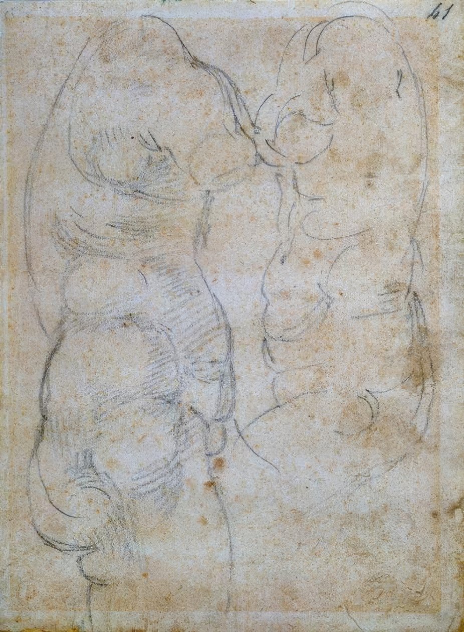 Eski bir kadının gövdesine dayanan iki çalışma by Michelangelo Buonarroti
