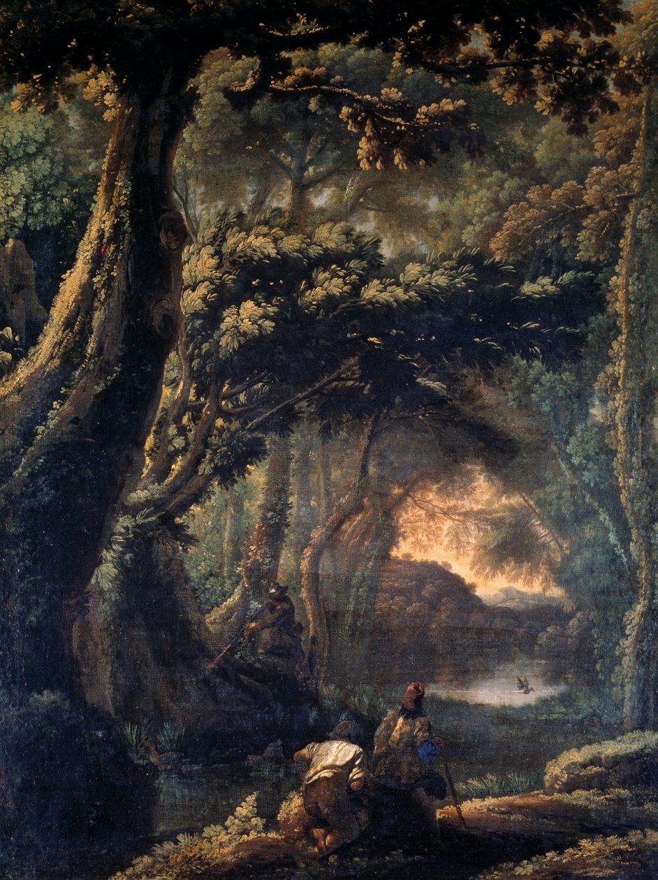 Coot avcılığı, Michelangelo delle Battaglie (1602-1660) olarak bilinen Michelangelo Cerquozzi tarafından, tuval üzerine yağlıboya, 67x51 cm. by Michelangelo Cerquozzi