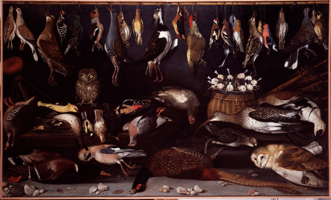 Kuşlarla natürmort (Kuş) Michelangelo Merisi dit Caravaggio