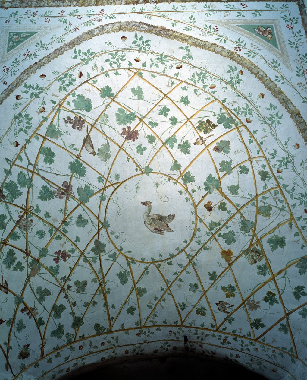 Kiler kasasının görünümü, Villa Medicea di Careggi by Michelozzo di Bartolommeo