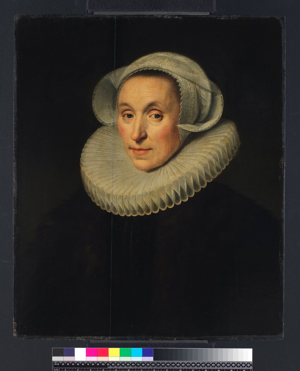 Bir Hanımefendinin Portresi, 1615 by Michiel Jansz. van Miereveld