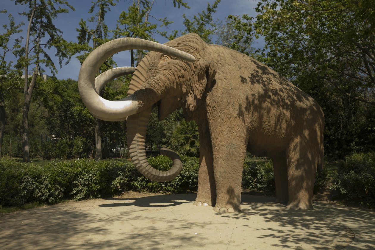 Mamut, 1907 by Miguel Dalmau