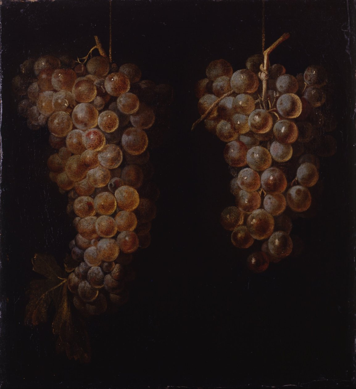 üzüm salkımı by Miguel de Pret