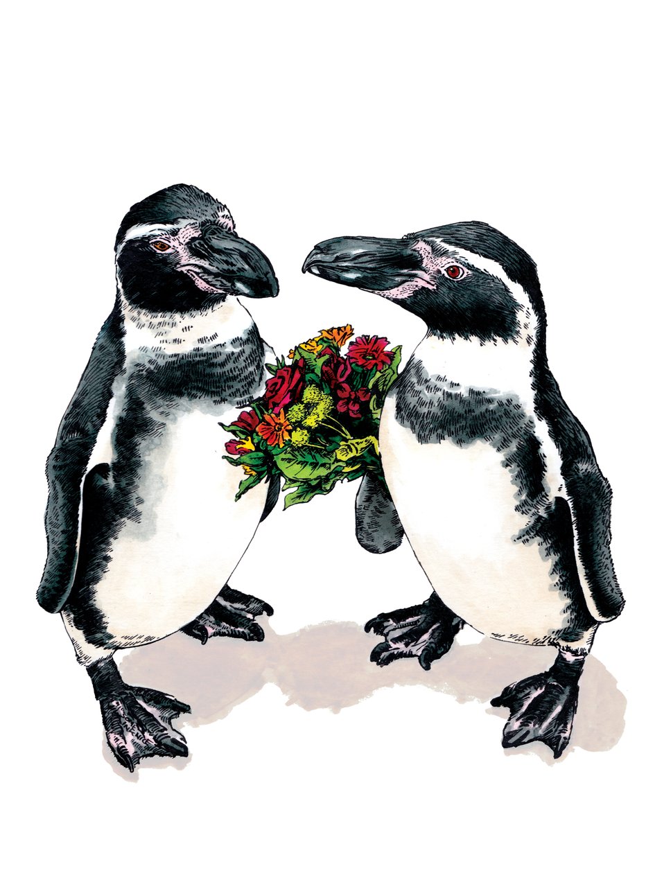 Beyaz Üzerine Yıldönümü Penguenleri, 2020 by Mike Davis