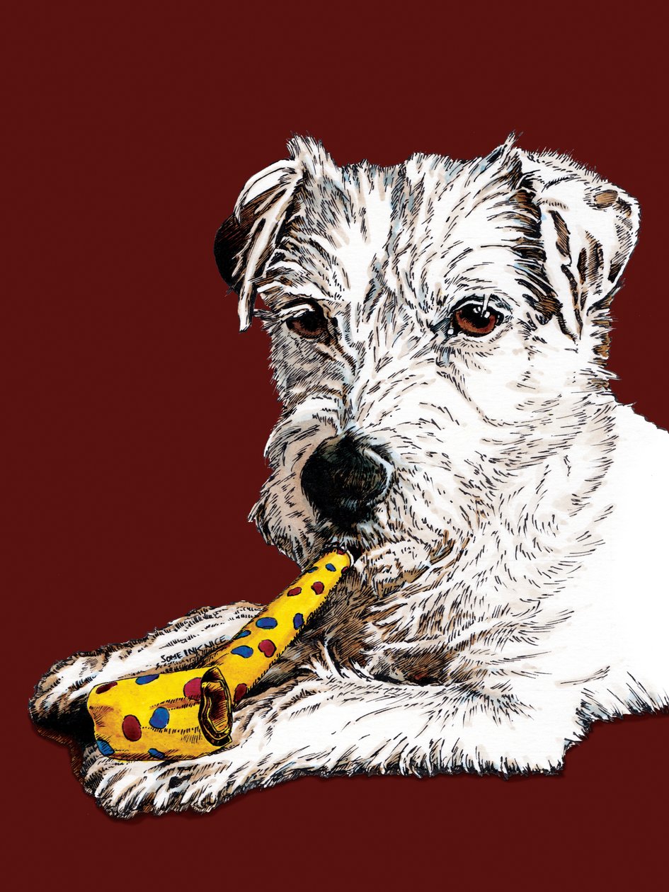 Red Oxide Doğum Günü Parson Dog, 2020 by Mike Davis