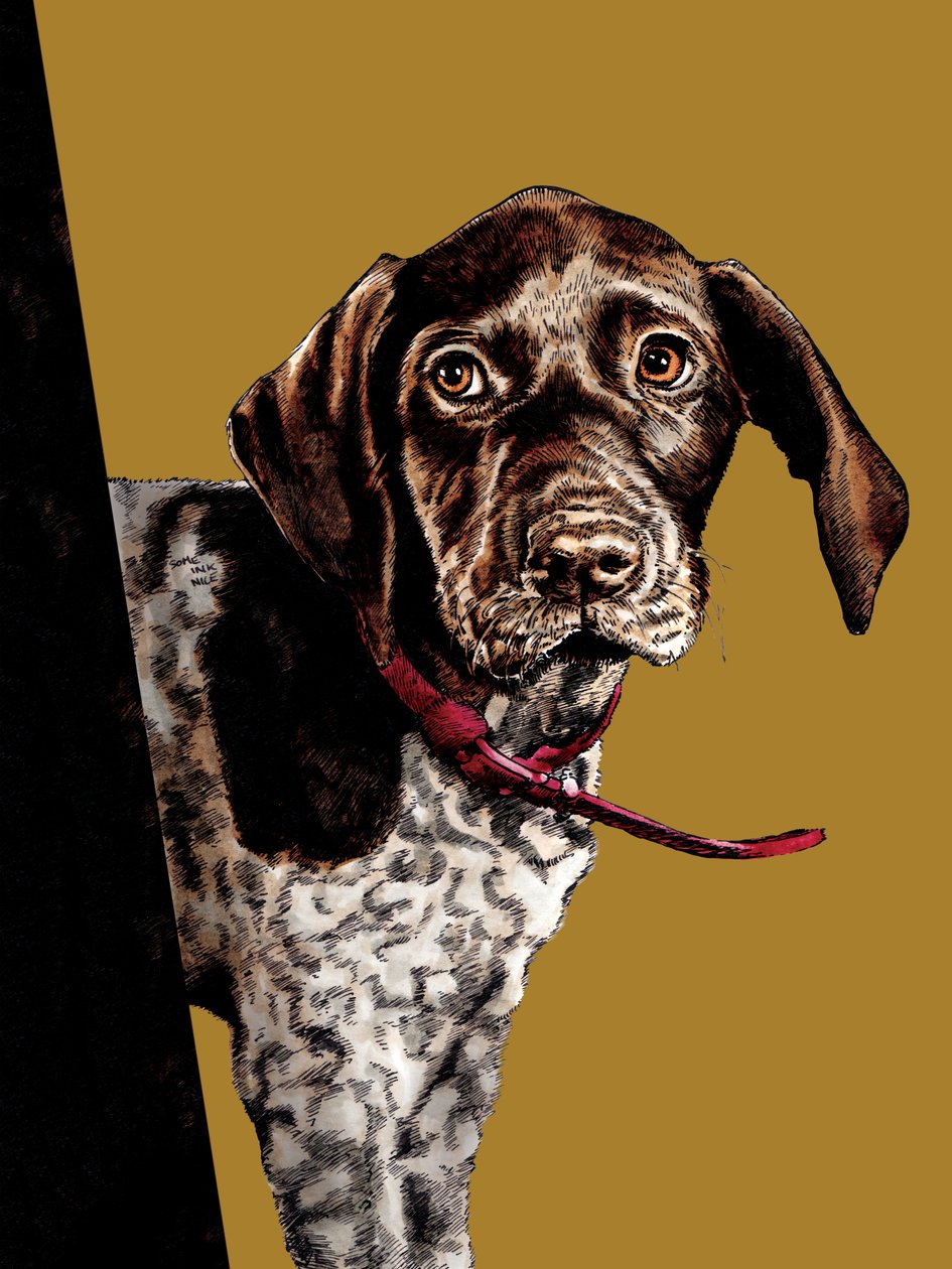 Güle Güle Köpek Yavrusu Altın Sarı, 2020 by Mike Davis