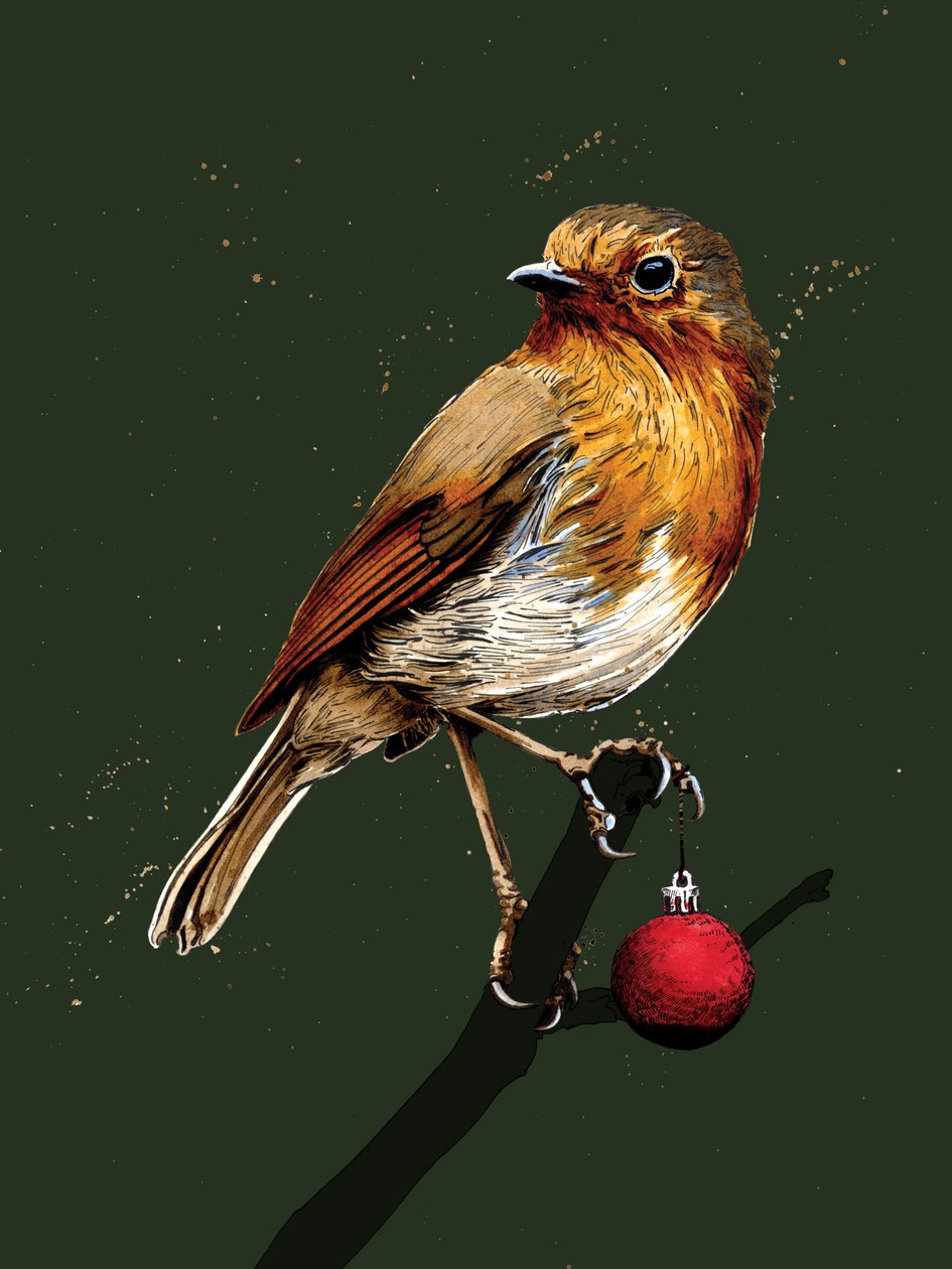 Orman Yeşilinde Noel Robin, 2020 by Mike Davis