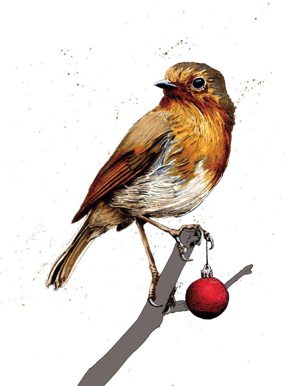 Beyaz Üzerine Noel Robin, 2020 by Mike Davis