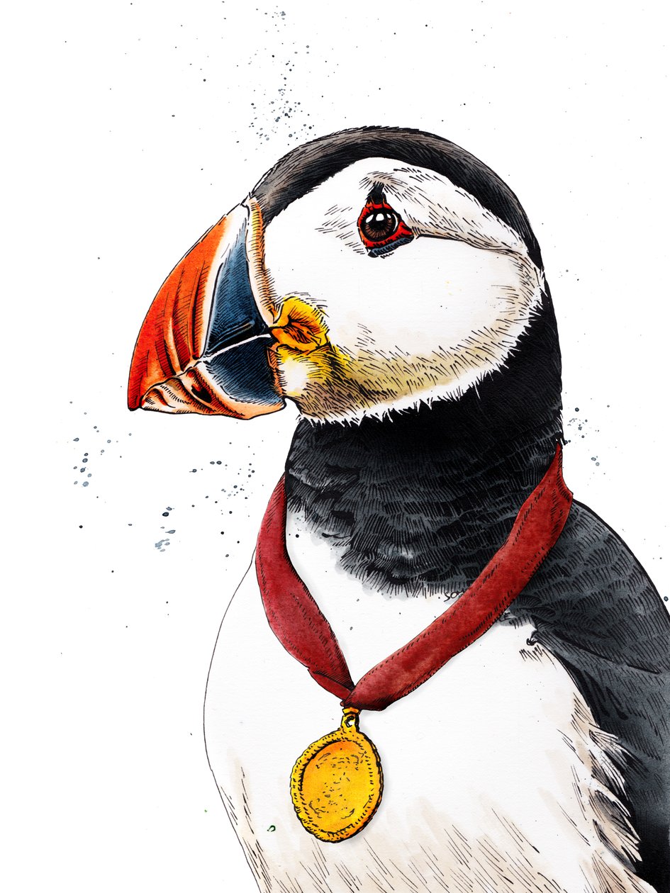 Beyaz için Tebrikler Puffin, 2020 by Mike Davis