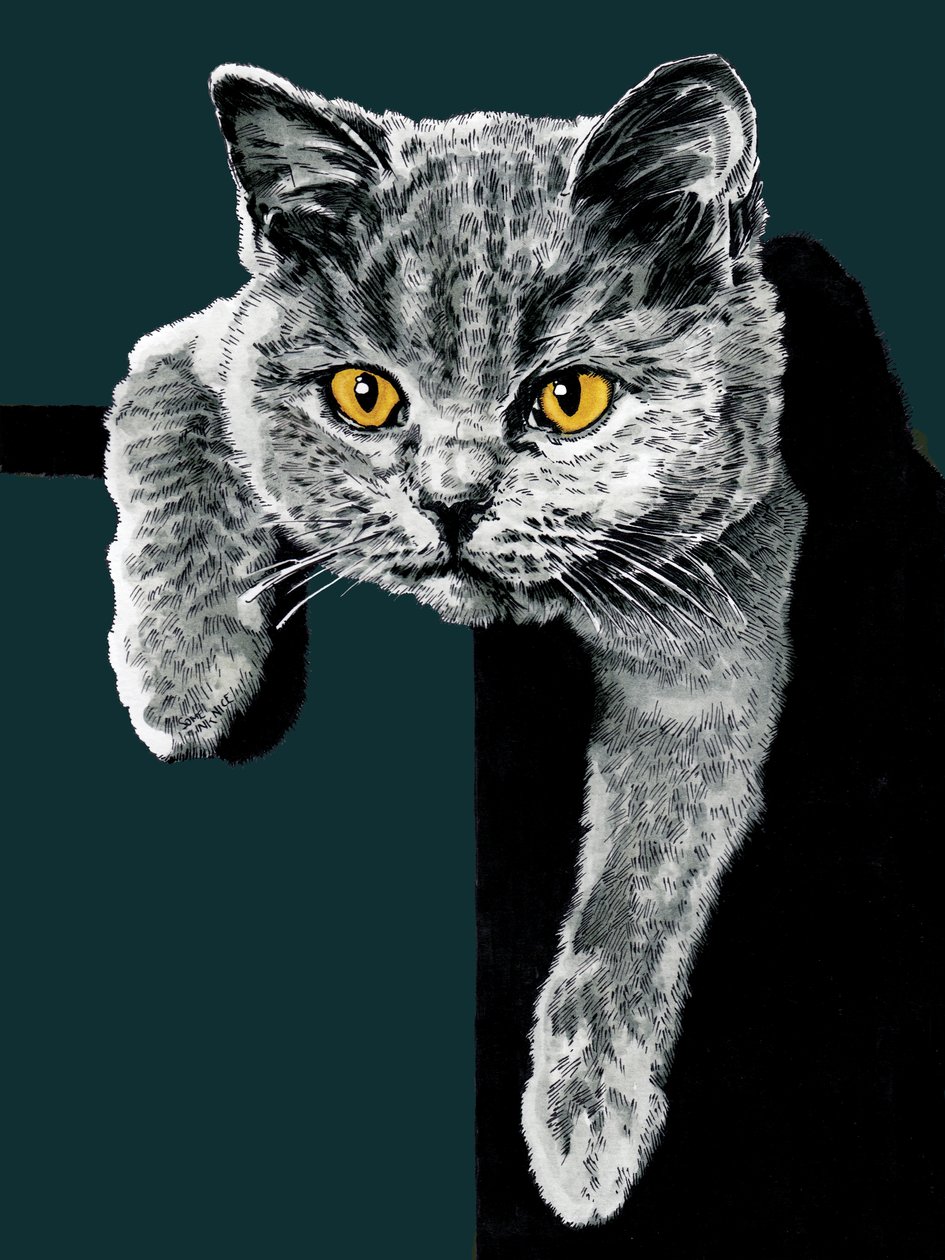 Flora The Kitten - Deep Cyan, 2020 by Mike Davis