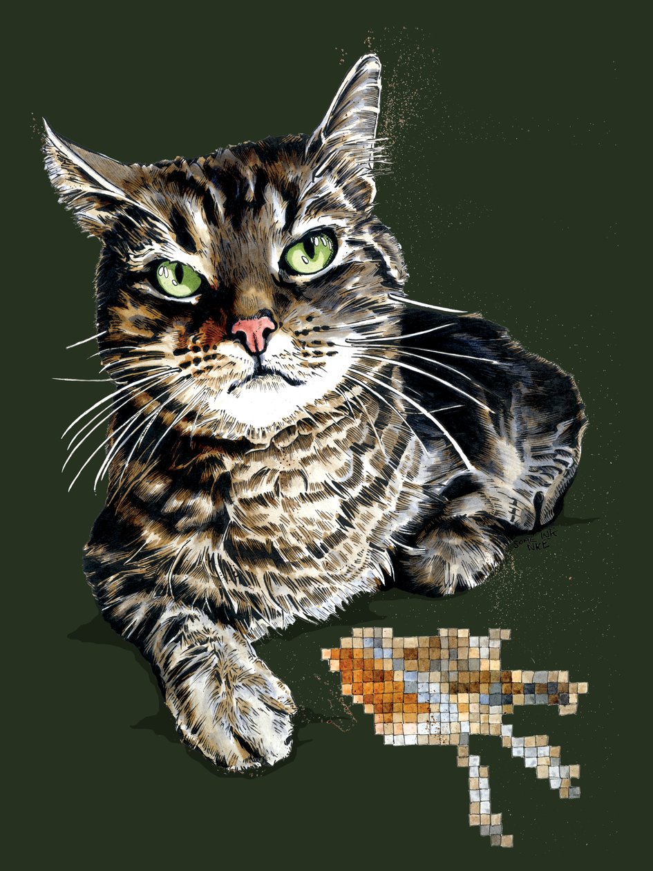 Orman Yeşili'nde Hediye Kedi, 2020 by Mike Davis