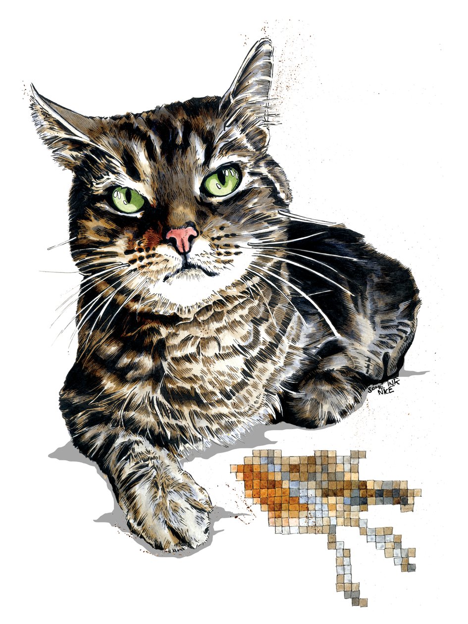 Beyaz Üzerine Hediye Kedi, 2020 by Mike Davis