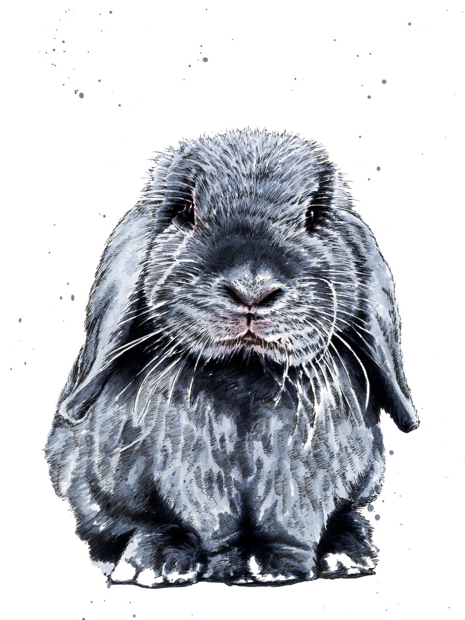Gri Bir Tavşan Beyaz Üzerine, 2019 by Mike Davis