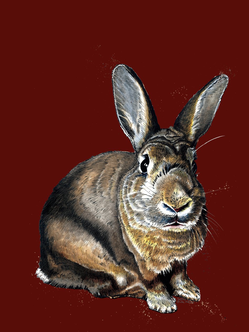 Meg The Bunny, Red Oxide, 2020 by Mike Davis