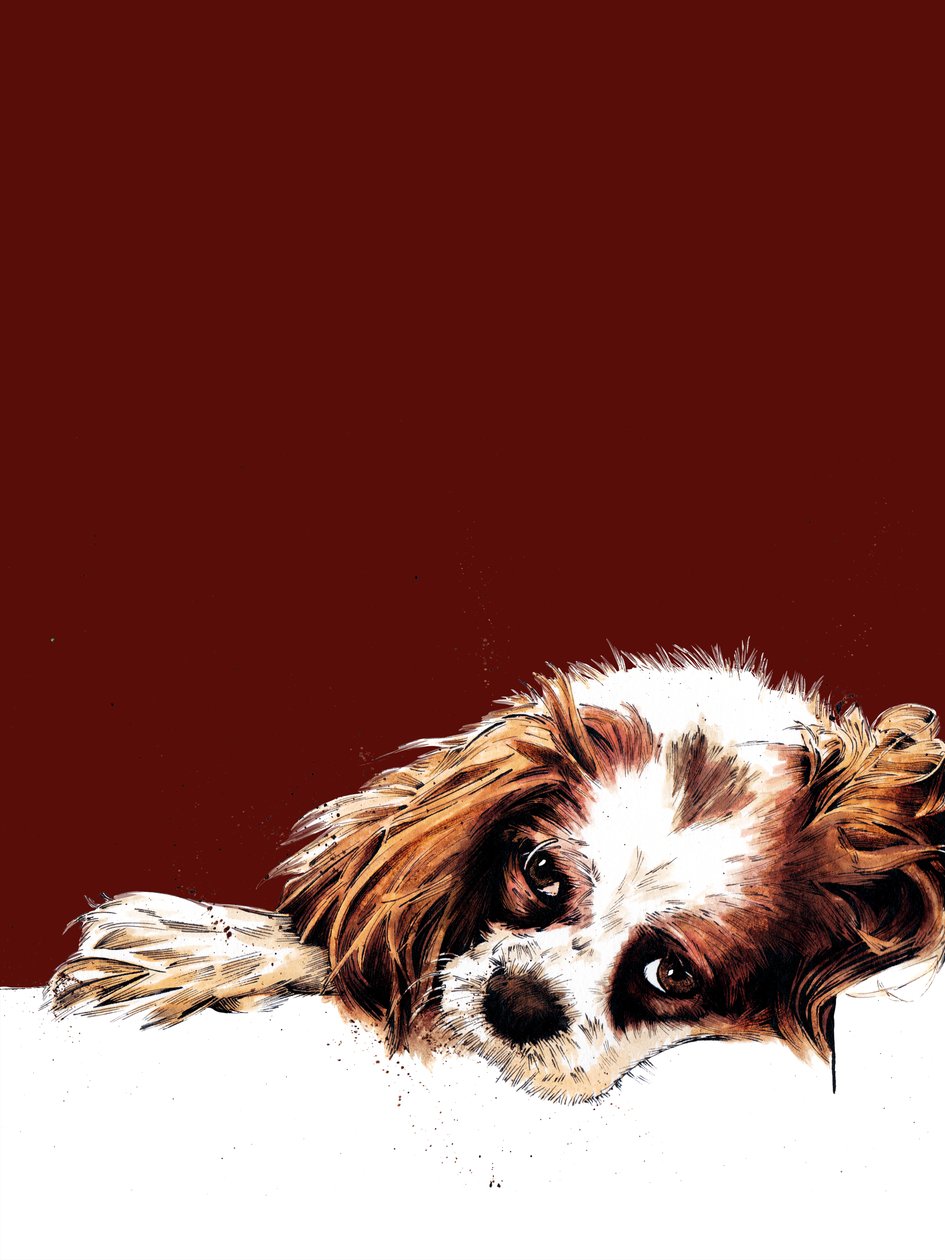 Meg The Spaniel, Red Oxide, 2020 by Mike Davis