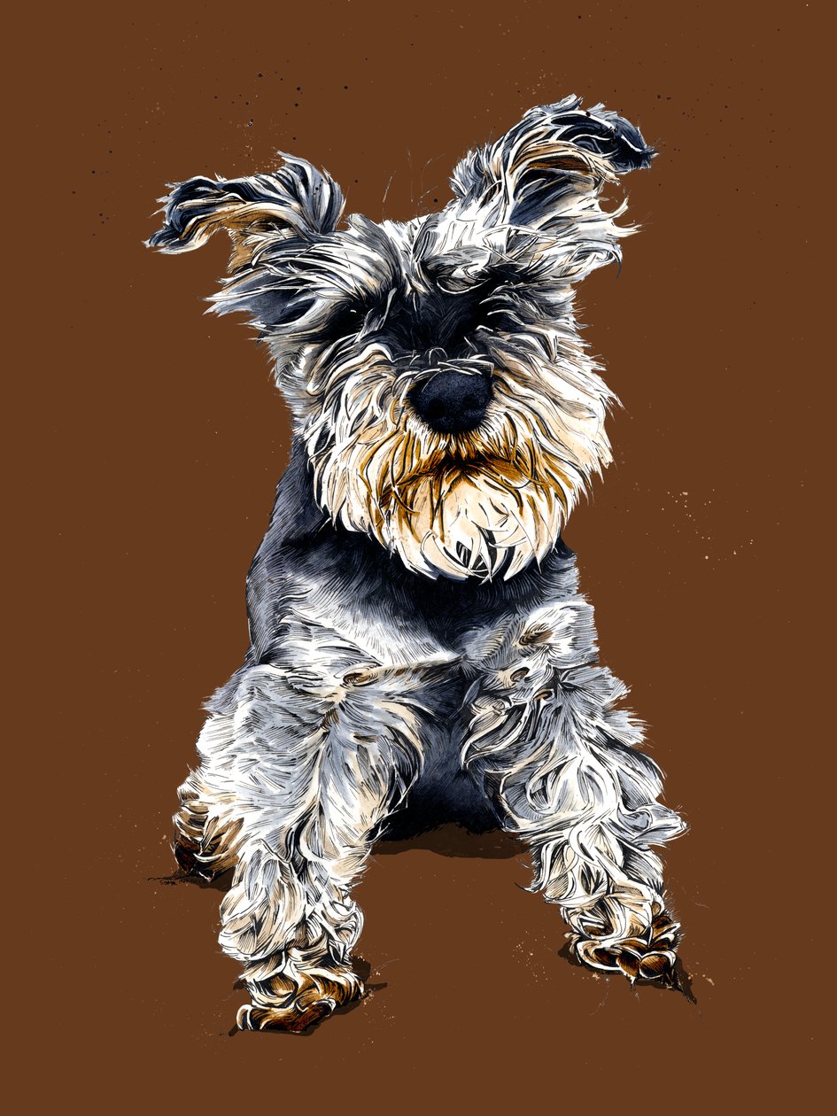 Ollie The Schnauzer üzerinde Burnt Orange, 2020 by Mike Davis
